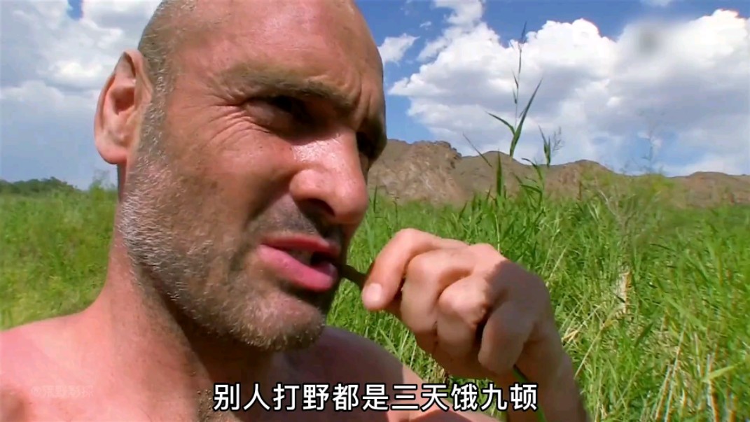 外焦里嫩的烤狼蛛,炭烤鼠片,肥美老鲶鱼 #荒野求生 #野外生存 #户外