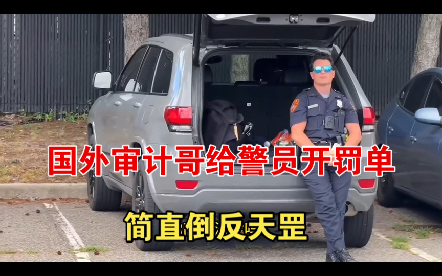 国外审计哥给警员开罚单,简直倒反天罡哔哩哔哩bilibili