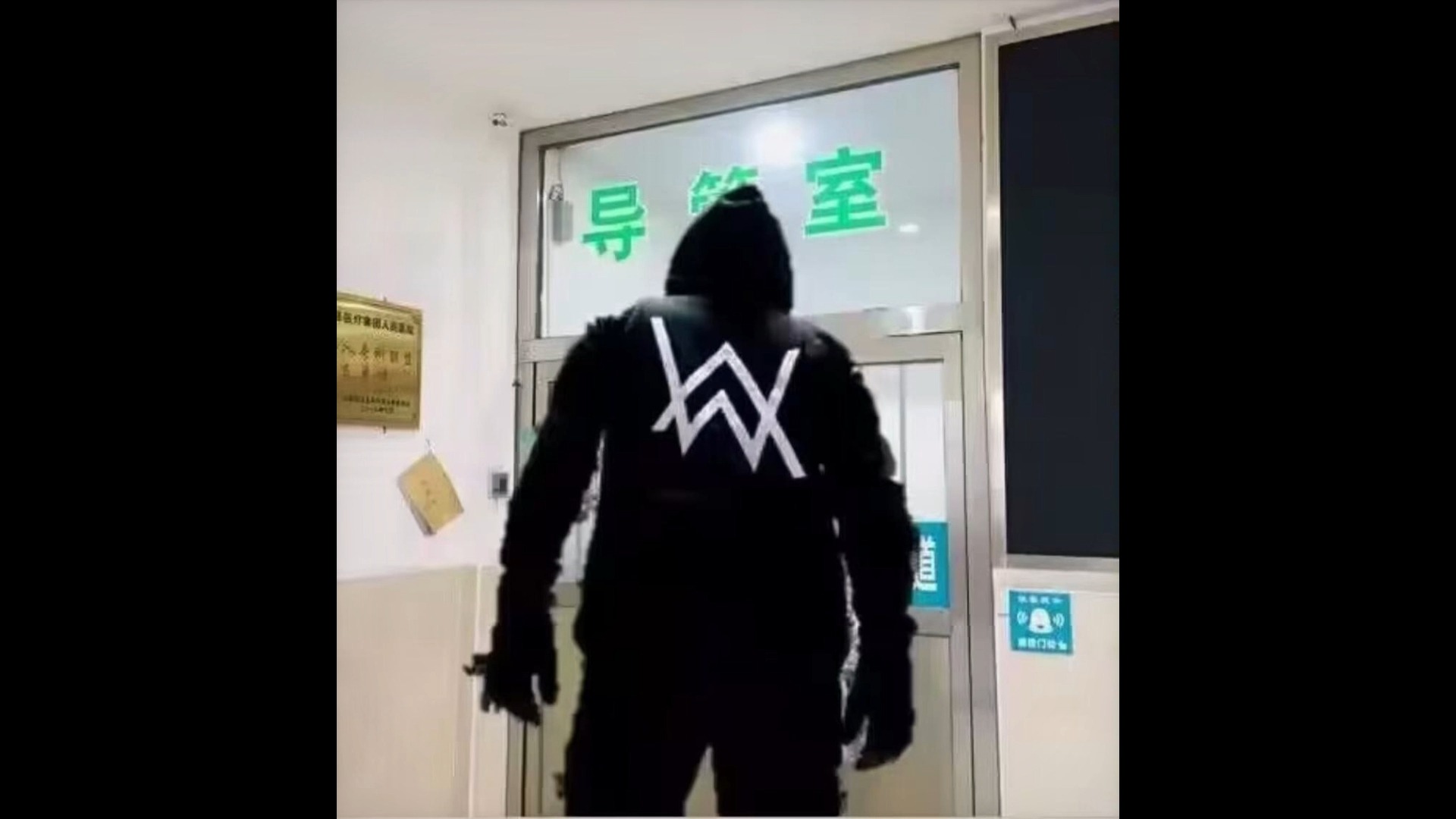 大家好呀,我是艾伦沃克的兄弟艾卢迪克