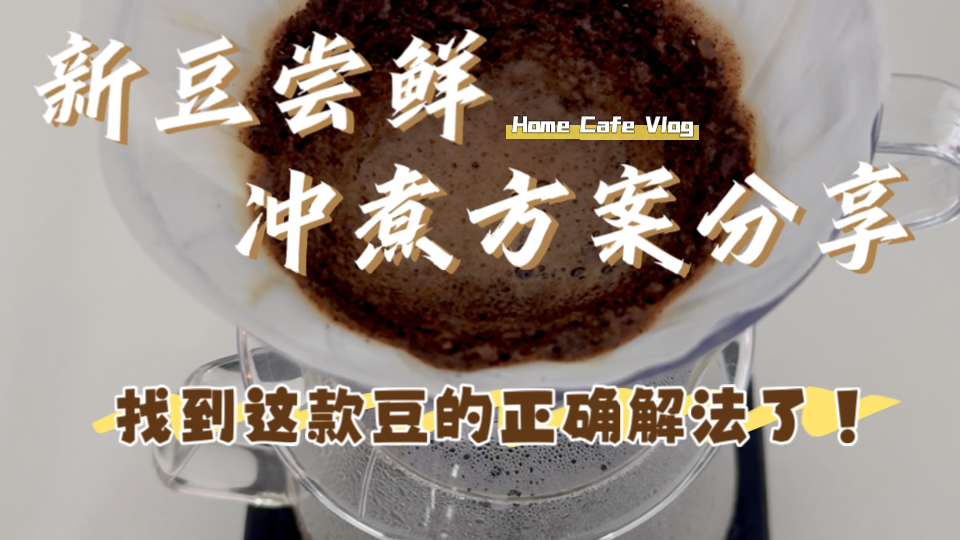 Homecafe|手冲|稳的!好冲!哔哩哔哩bilibili