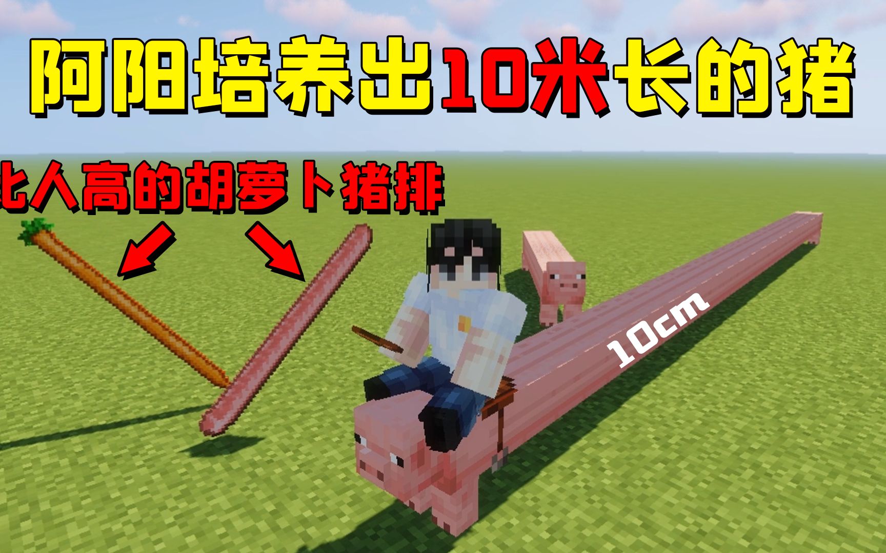 我的世界mod:用秘制胡萝卜养出10米长的猪,掉落的猪排比人还高_哔哩