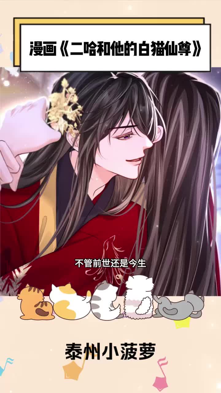 二哈和他的白猫师尊,车车洒糖,特典一:雨夜温存,特典二:与君沉沦哔哩哔哩bilibili