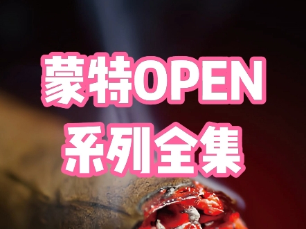 蒙特OPEN系列全集哔哩哔哩bilibili