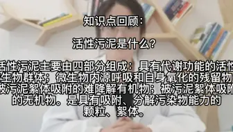污水处理中常说的活性污泥是什么？