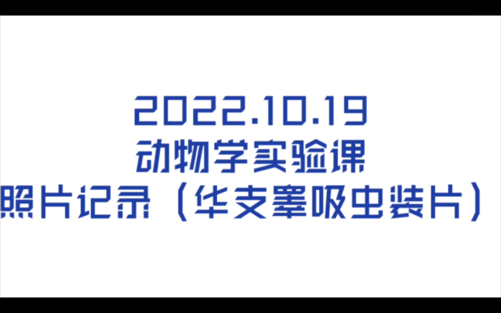 2022.10.19 动物学实验课 照片记录(华支睾吸虫装片)哔哩哔哩bilibili