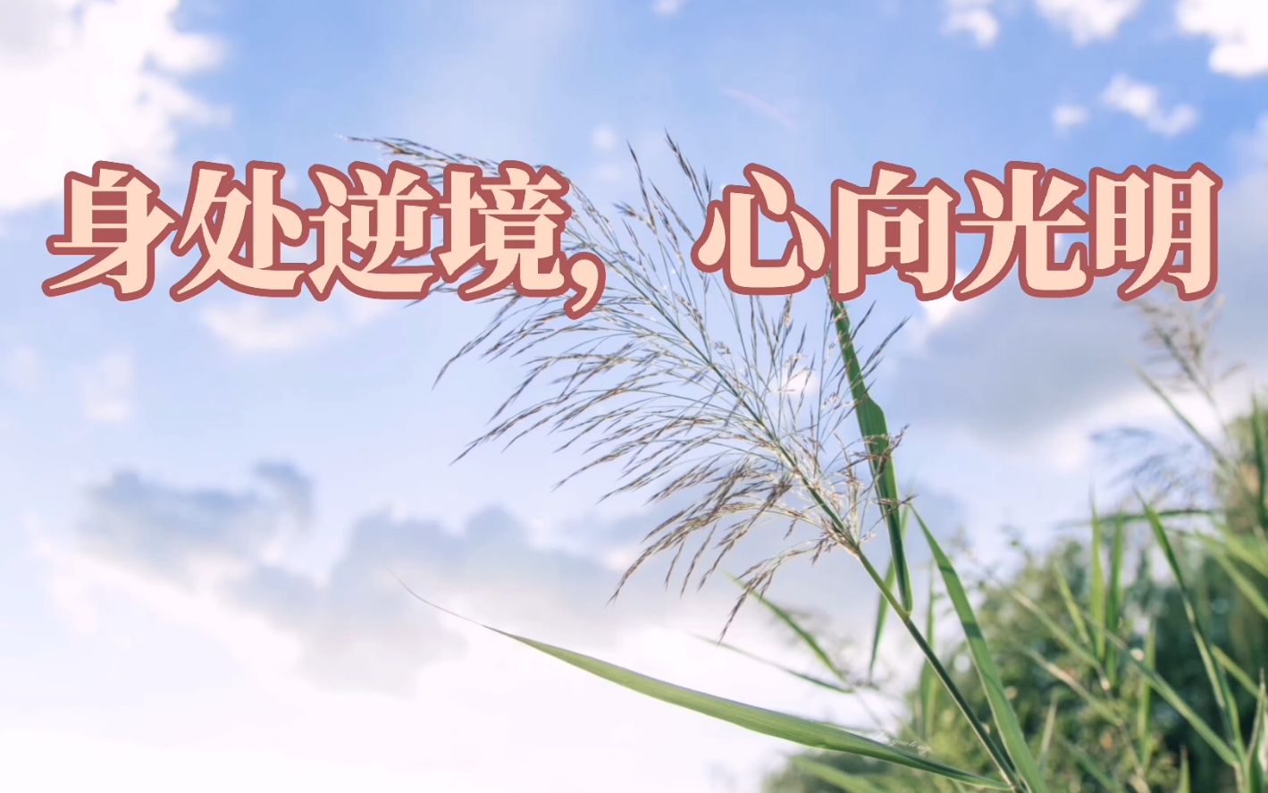 活动  感悟林清玄写的句子,身处逆境,心向光明