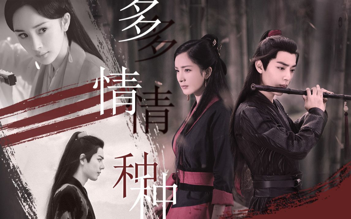 杨幂肖战多情种魏无羡白浅扶摇是我在做多情种