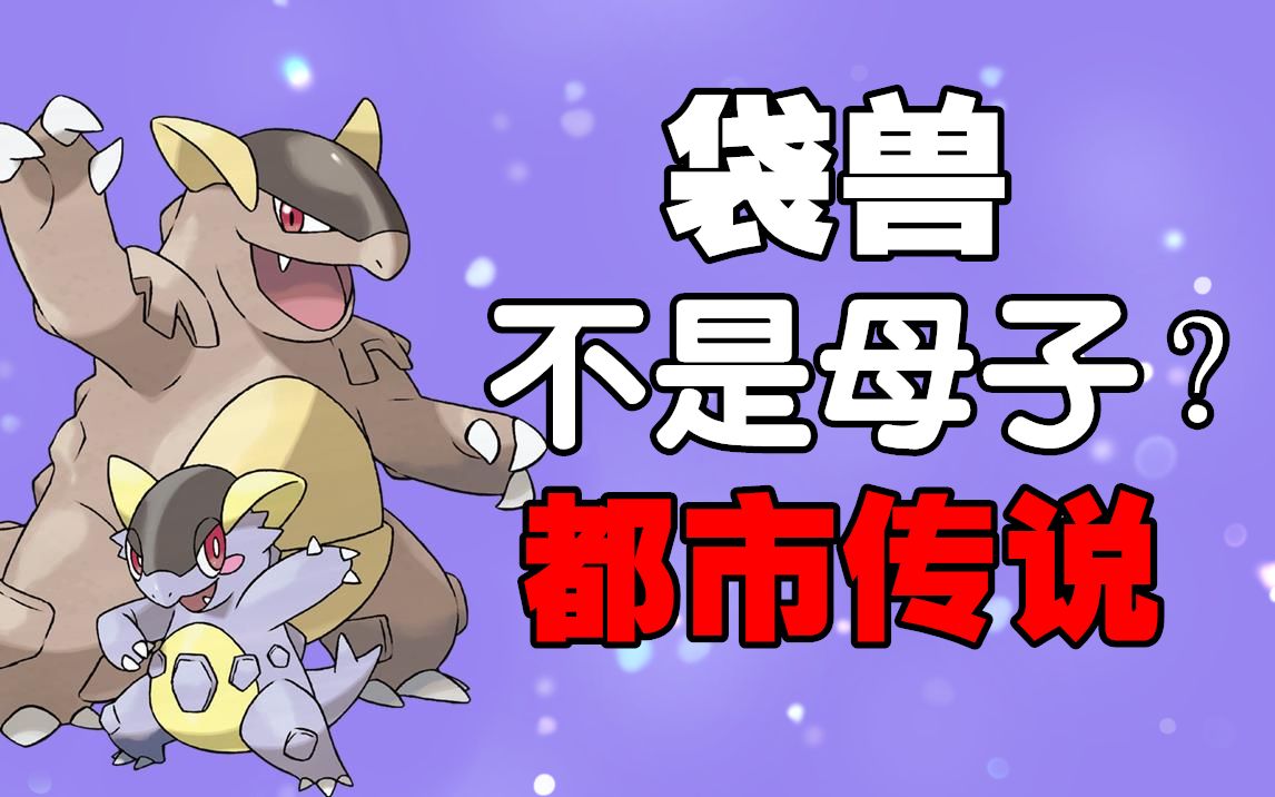 【黑猫】宝可梦都市传说!袋兽与小袋兽原来不是母子!