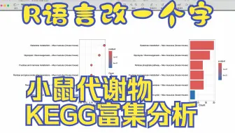 R语言保姆级-小鼠代谢物KEGG富集分析