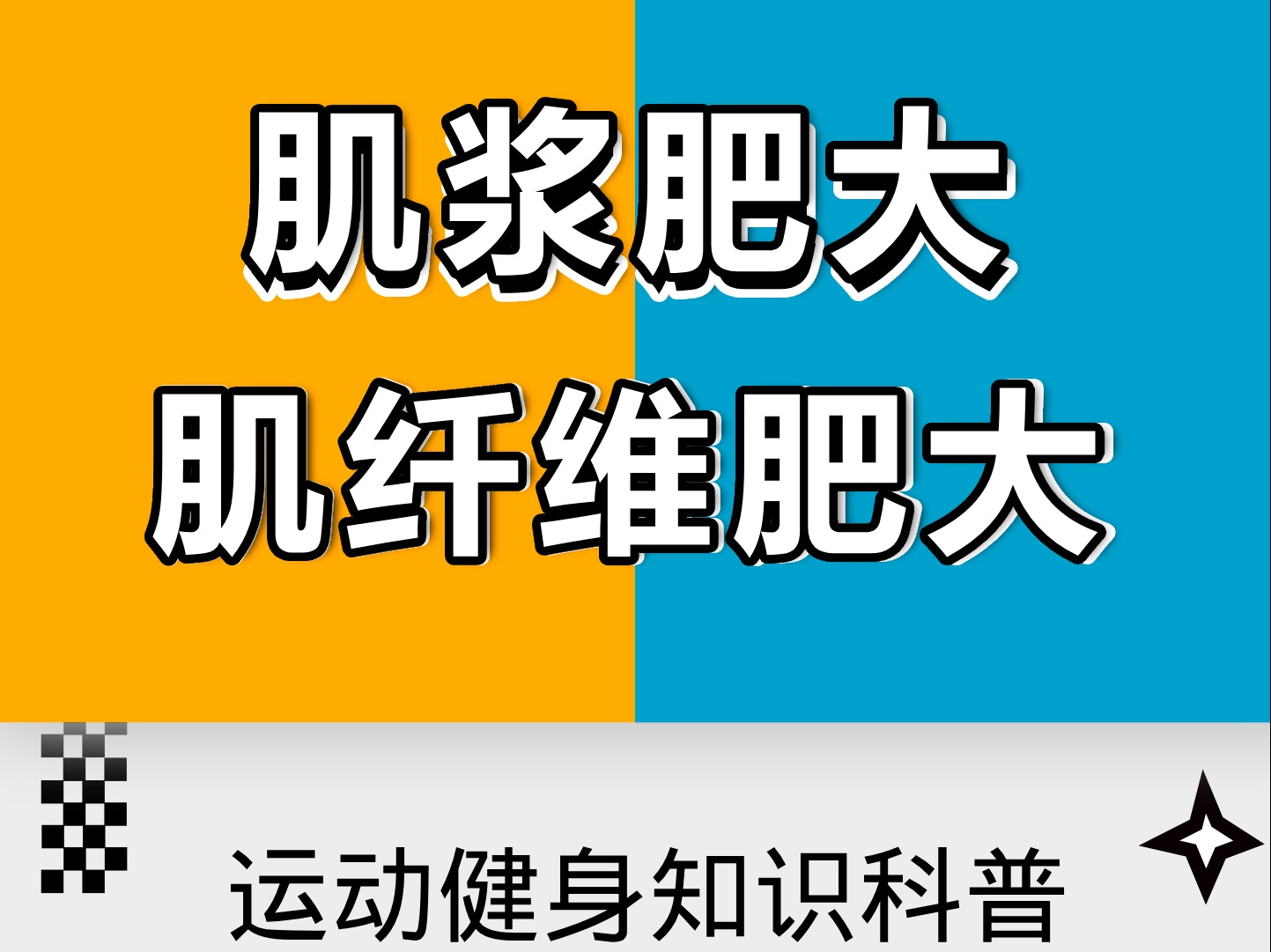 肌浆肥大与肌纤维肥大的对比哔哩哔哩bilibili