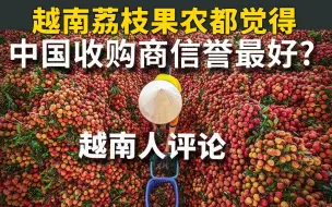 Download Video: 越南荔枝果农都觉得中国收购商信誉最好？看越南人评论