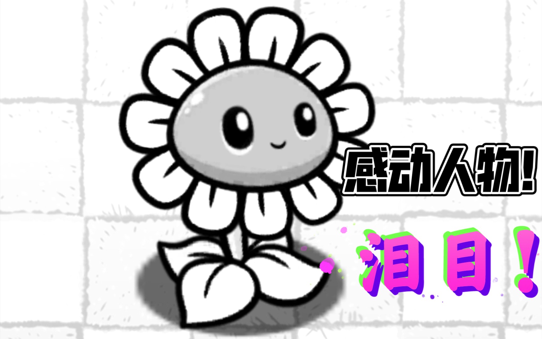 [pvz_bt] 感动全pvz_bt励志人物 向日葵!