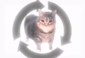 ...