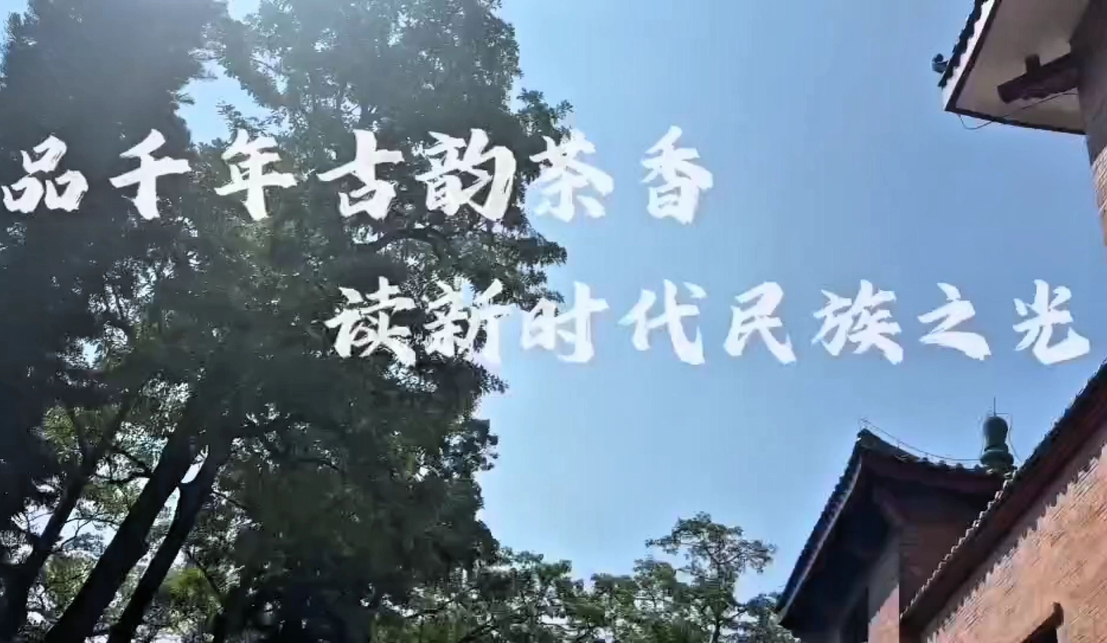 我心中的思政课:品千年古韵茶香,读新时代民族之光哔哩哔哩bilibili