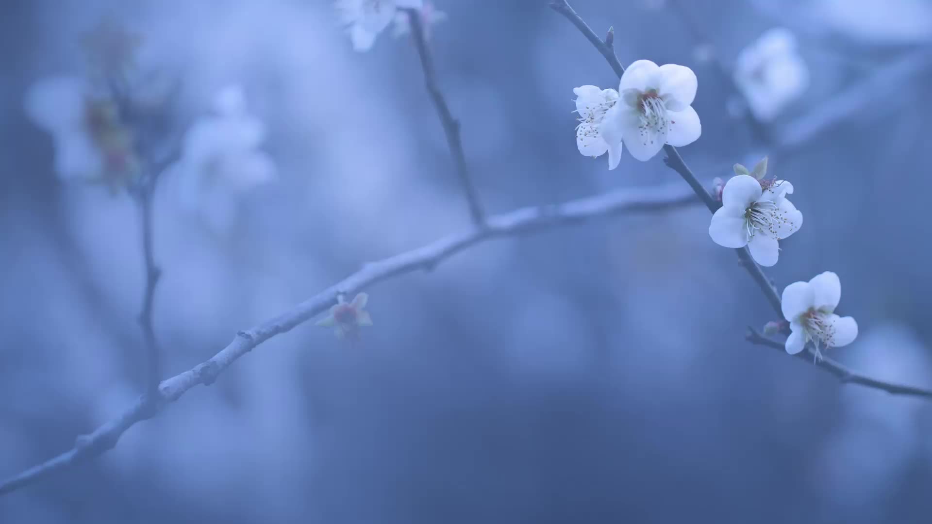 张望禅意摄影学院每日一图,如何拍出禅意的照片(三十三)