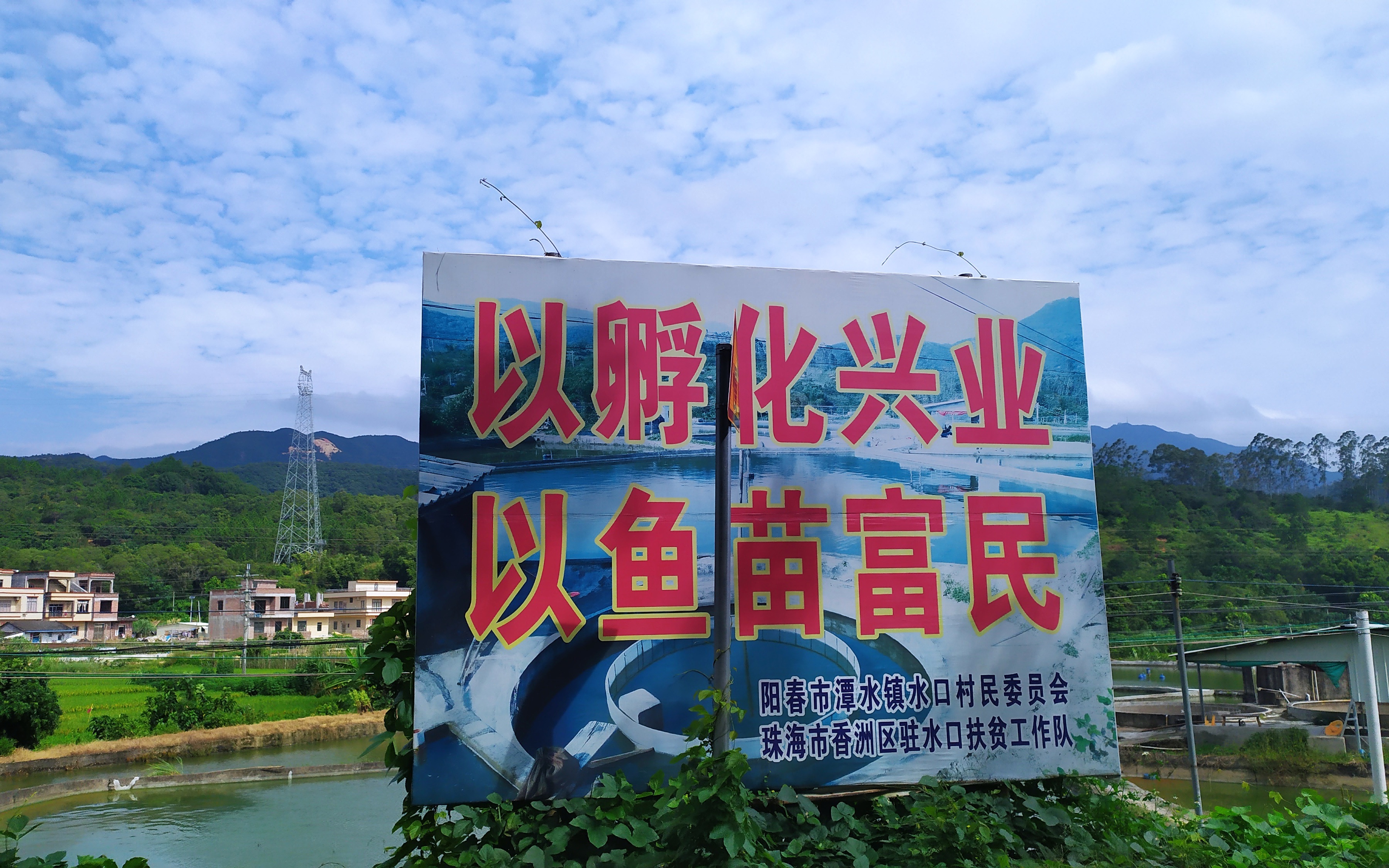 潭水镇水口村养鱼苗孵鱼生产基地珠海香洲区