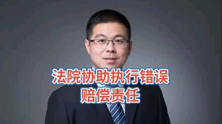 人民法院协助执行错误赔偿责任哔哩哔哩bilibili