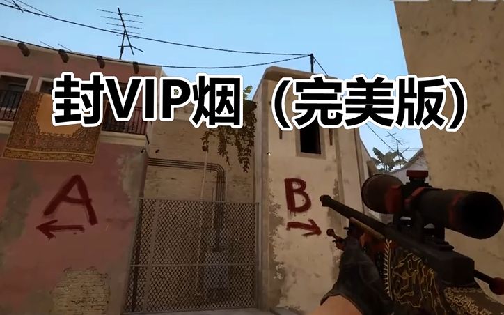 CSGO荒漠迷城完美VIP烟 128/64tick mirage哔哩哔哩bilibili