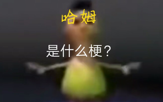 【梗指南】 哈姆 哈姆 HAMOOD 是什么梗哔哩哔哩bilibili