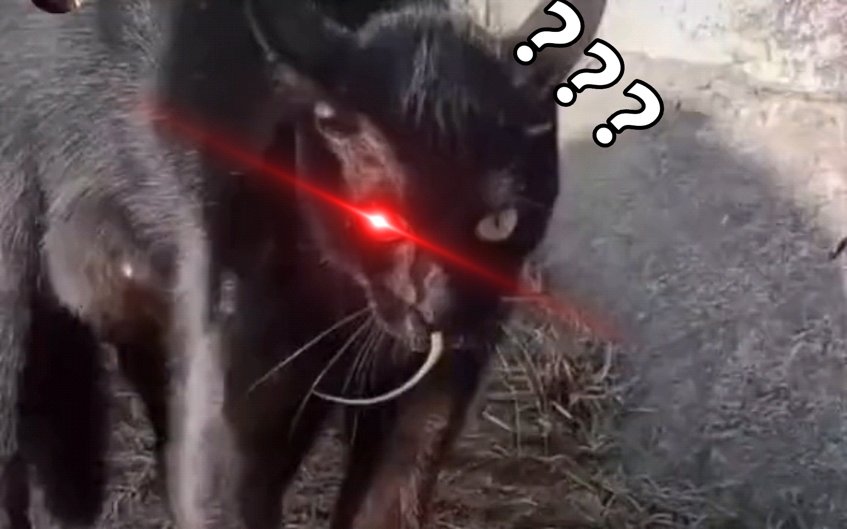 苏醒吧,猎杀时刻!