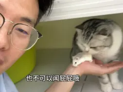 Download Video: 我家猫看见仓鼠馋的流口水。