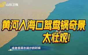 Download Video: 山东版“鸳鸯锅”！东营黄河入海口鸳鸯锅奇景太壮观！河海交汇一半浊黄一半蔚蓝！《齐鲁文化大会》第七期