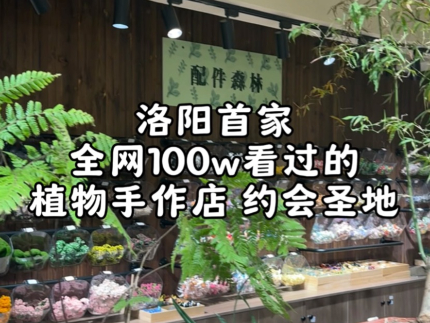 洛阳第一家植物手工diy店开业啦!哔哩哔哩bilibili