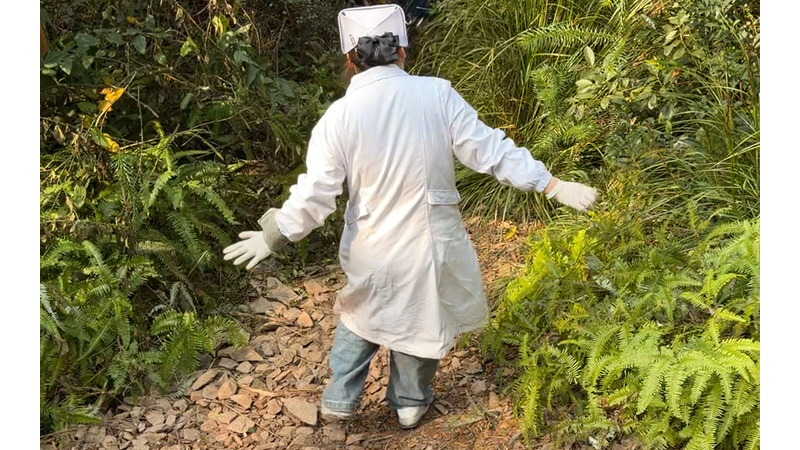 小伙看了十期神秘园，决定临时起意……