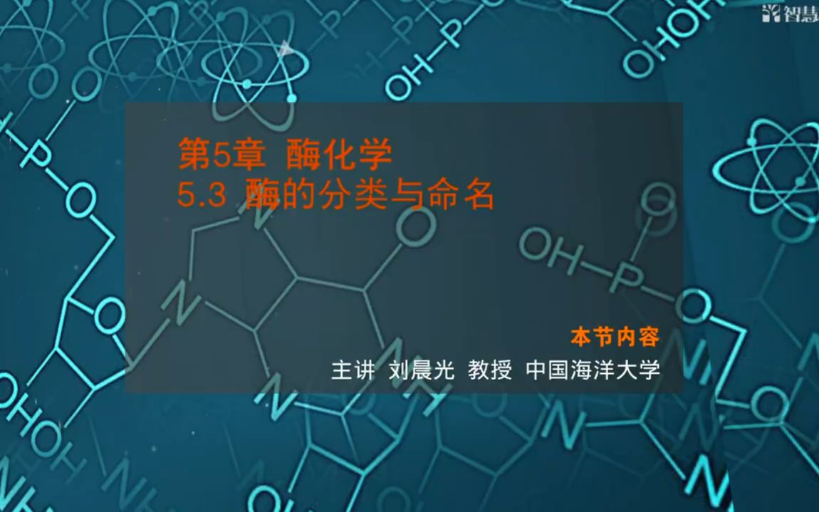 【中国海洋大学 生物化学】2.3酶的分类与命名哔哩哔哩bilibili