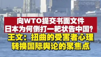 向WTO提交书面文件，日本为何倒打一耙状告中国？王文：扭曲的受害者心理，转换国际舆论的聚焦点