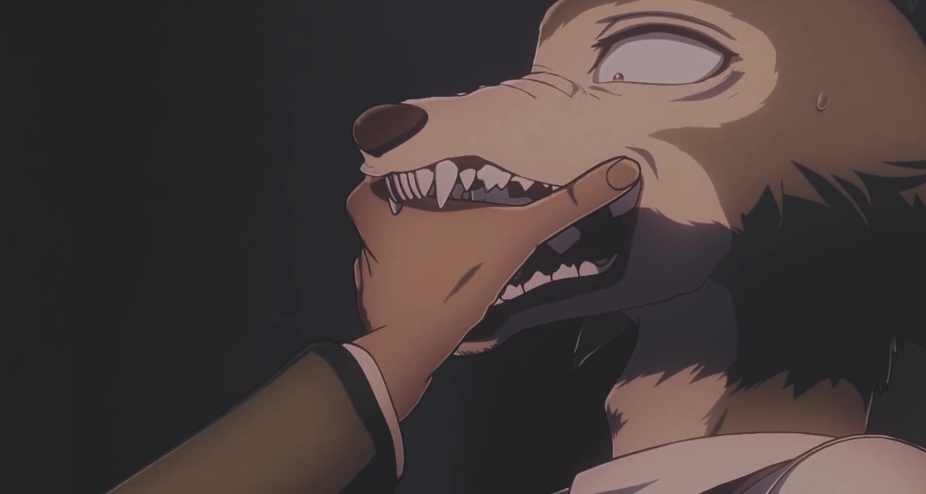 【beastars】狼鹿狼