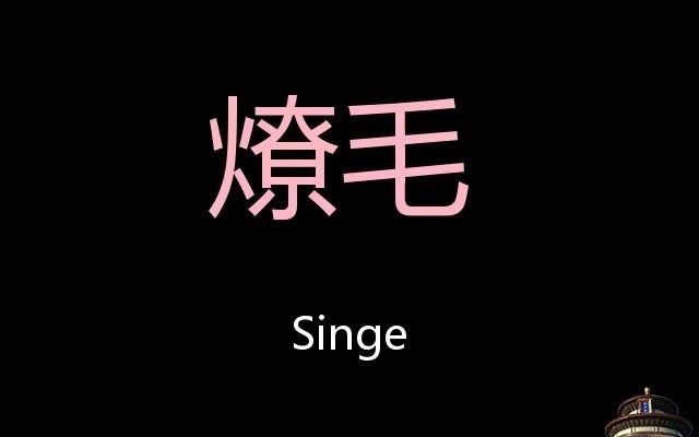 燎毛 Chinese Pronunciation Singe哔哩哔哩bilibili