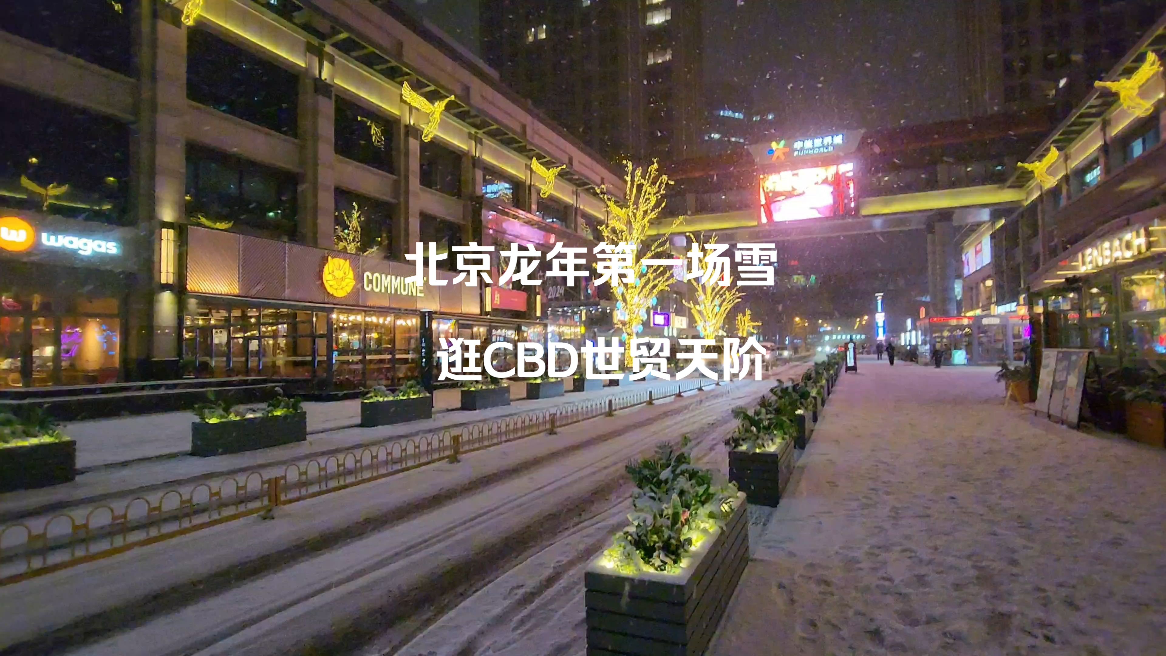 北京龙年第一场雪,北京下雪,逛世贸天阶 #粤语哔哩哔哩bilibili