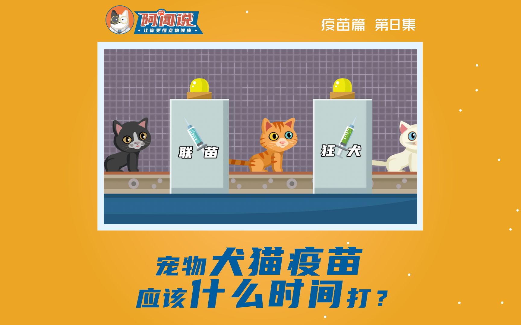 阿闻说 | 宠物犬猫疫苗应该什么时间打?哔哩哔哩bilibili