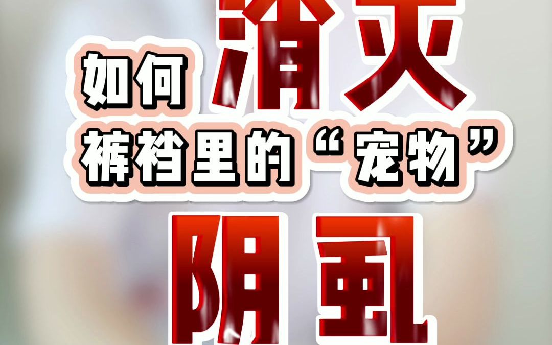 困扰我们夜不能寐,让我们尴尬不已的阴虱如何治疗呢?皮肤科医生在线除虫,消灭阴虱哔哩哔哩bilibili