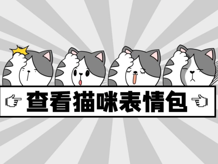 猫的面部表情|猫咪的喜怒哀乐?哔哩哔哩bilibili