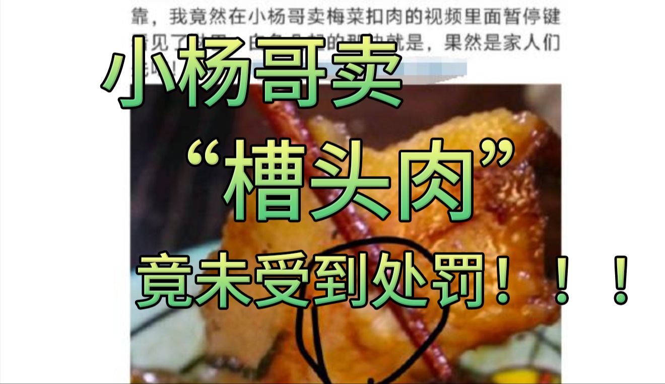 小杨哥卖的“槽头肉”被315曝出后,至今竟未受到任何处罚!!!手眼通天?哔哩哔哩bilibili