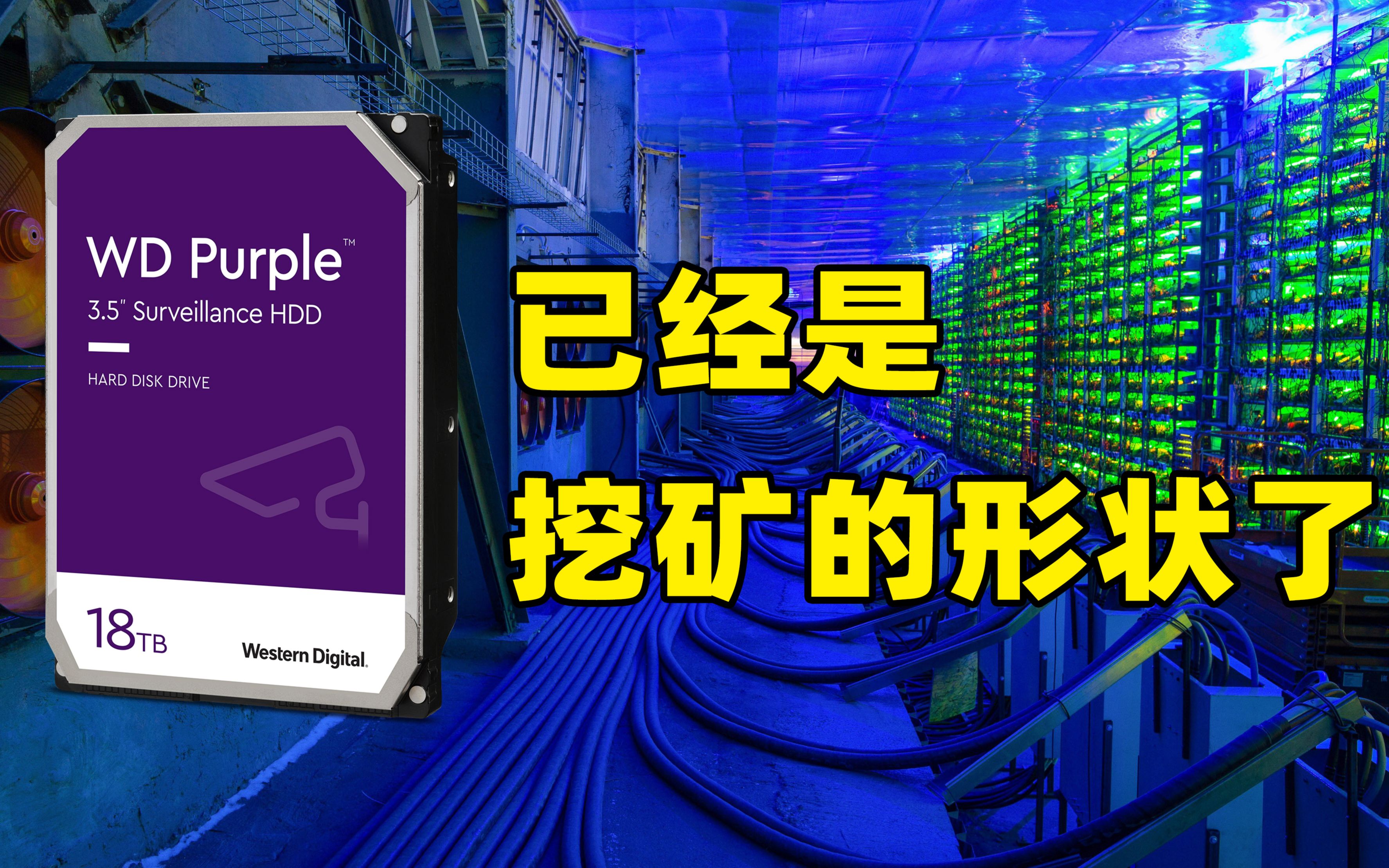 西数推出紫盘pro产品线chia币矿工的新玩具丨瘾力报第27期