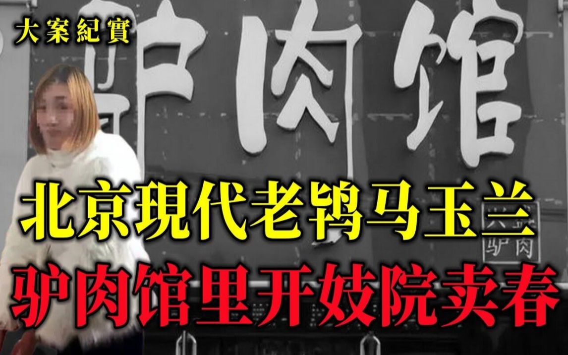 马玉兰“驴肉馆”卖春案始末,大案纪实哔哩哔哩bilibili