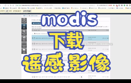 modis数据下载以ndvi数据为例哔哩哔哩bilibili