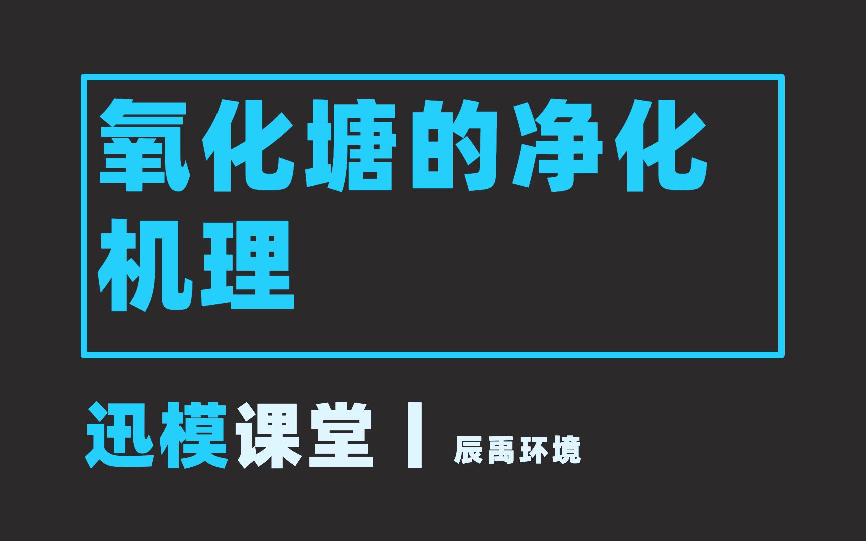 迅模课堂丨氧化塘的净化机理哔哩哔哩bilibili