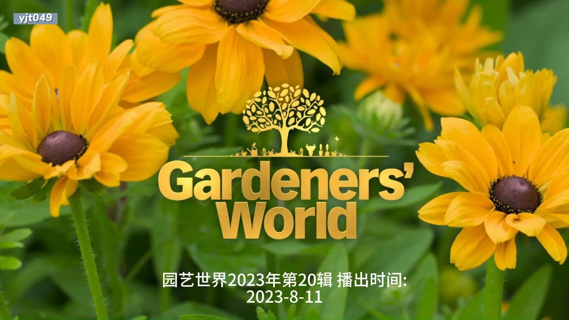 Gardeners' World S56E20 (2023) 园艺世界 第五十六季 1080P 双语哔哩哔哩bilibili