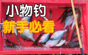 Video herunterladen: 小物钓，中鱼漂相，提竿时机。新手必看