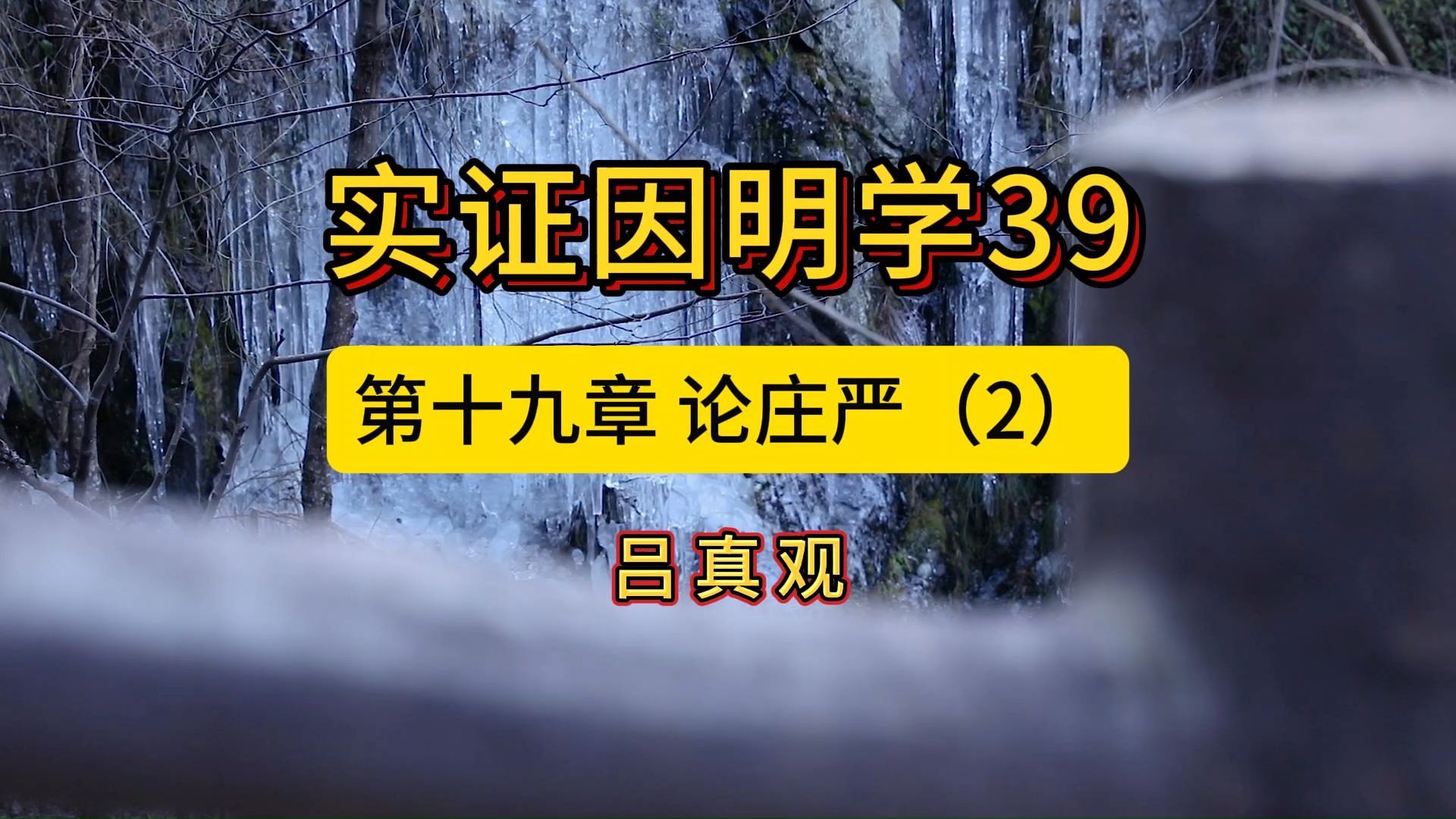 实证因明学39第十九章 论庄严(2)哔哩哔哩bilibili