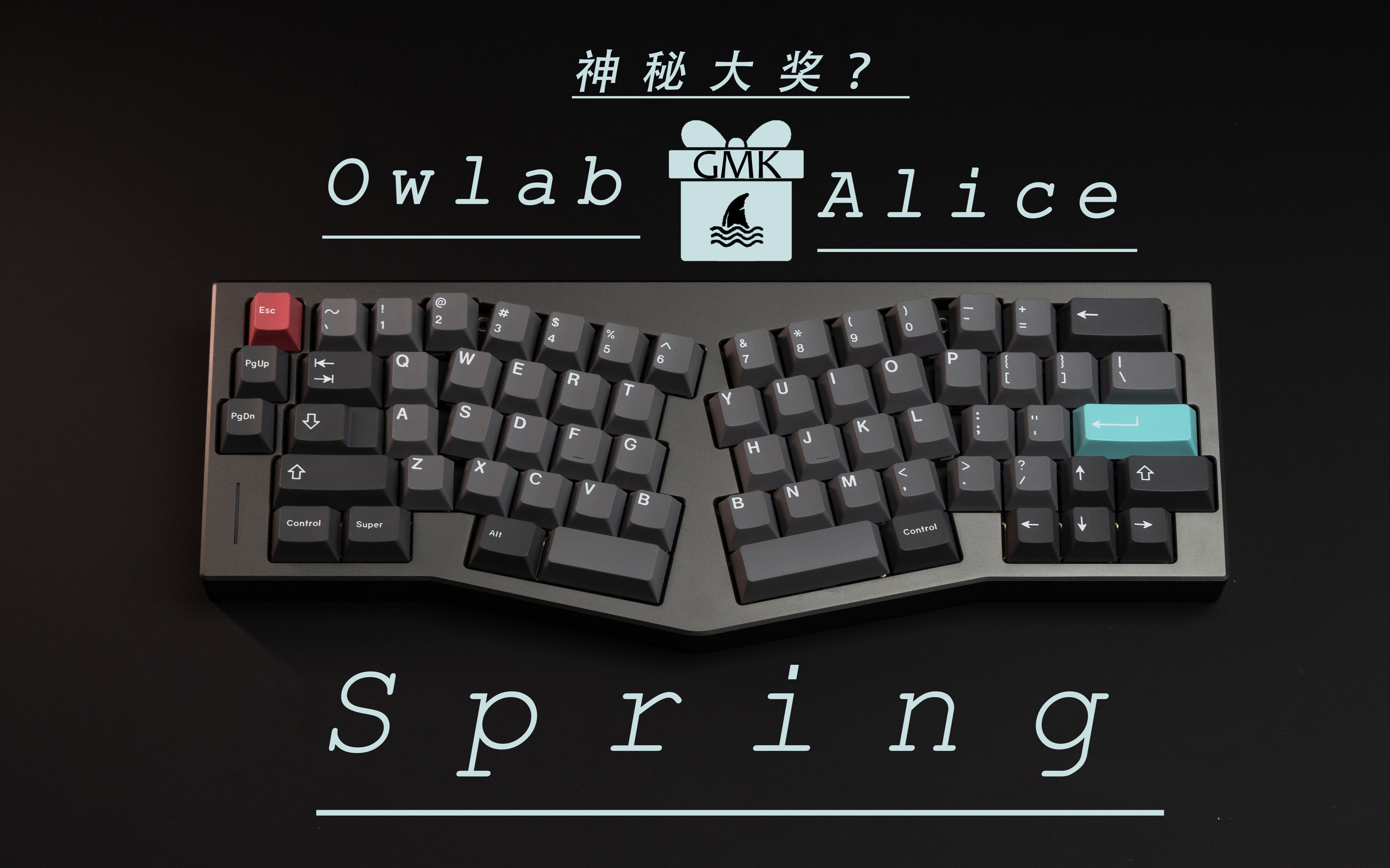 新年福利! / 新的一年,来尝试一下不同的键盘配列吧~ / Owlab  Spring  Alice配列 沉浸式组装哔哩哔哩bilibili