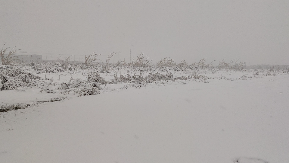 [图]2022年2月7日，正式上班第一天，南京大雪