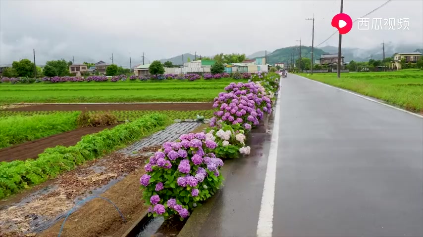 中国人在日本农村实拍了一段视频,看看日本的农村漂亮吗?哔哩哔哩bilibili