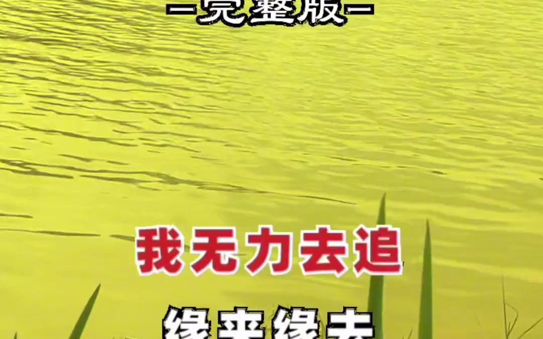 [图]不是不爱了，是不敢爱了，留下全是一道道伤疤，不爱我就别来伤害我 昨天的伤今夜的泪 伤感音乐 经典老歌 百听不厌