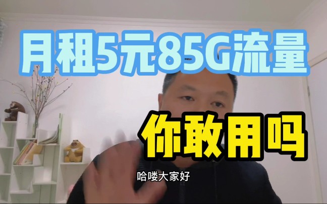 流量卡简单实用才是硬道理,5元85G,物联卡都不敢这么卖哔哩哔哩bilibili