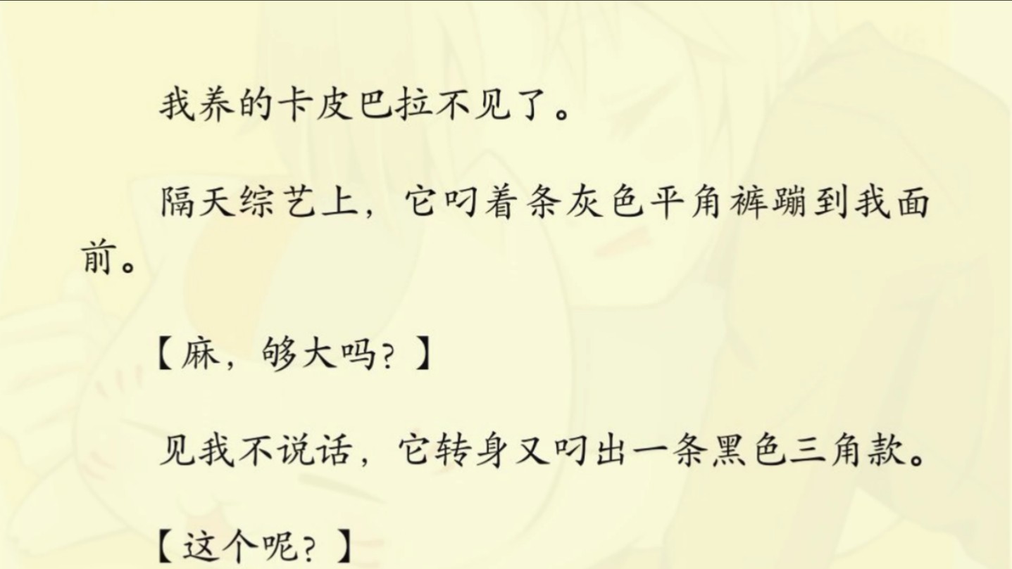 我养的卡皮巴拉不见了.隔天综艺上,它叼着条灰色平角裤蹦到我面前.【麻,够大吗?】见我不说话,它转身又叼出一条黑色三角款.【这个呢?】【还不...